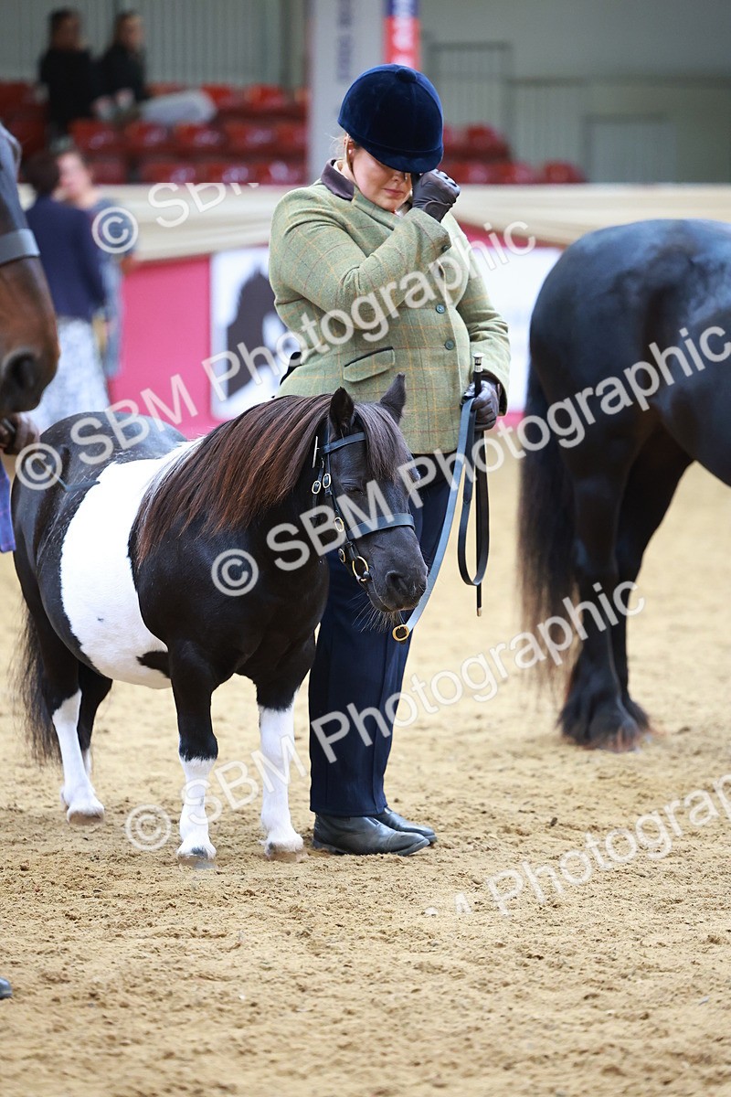 SBM_04275 - Class 9R - IH Pre-Vet