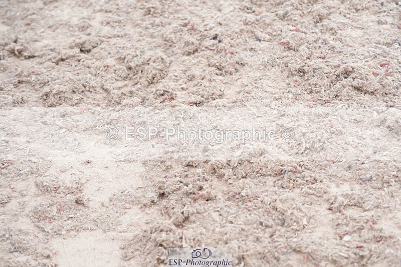 250505-144934-05058 - Cls 17 The Crossman Family 138cm Grand Prix