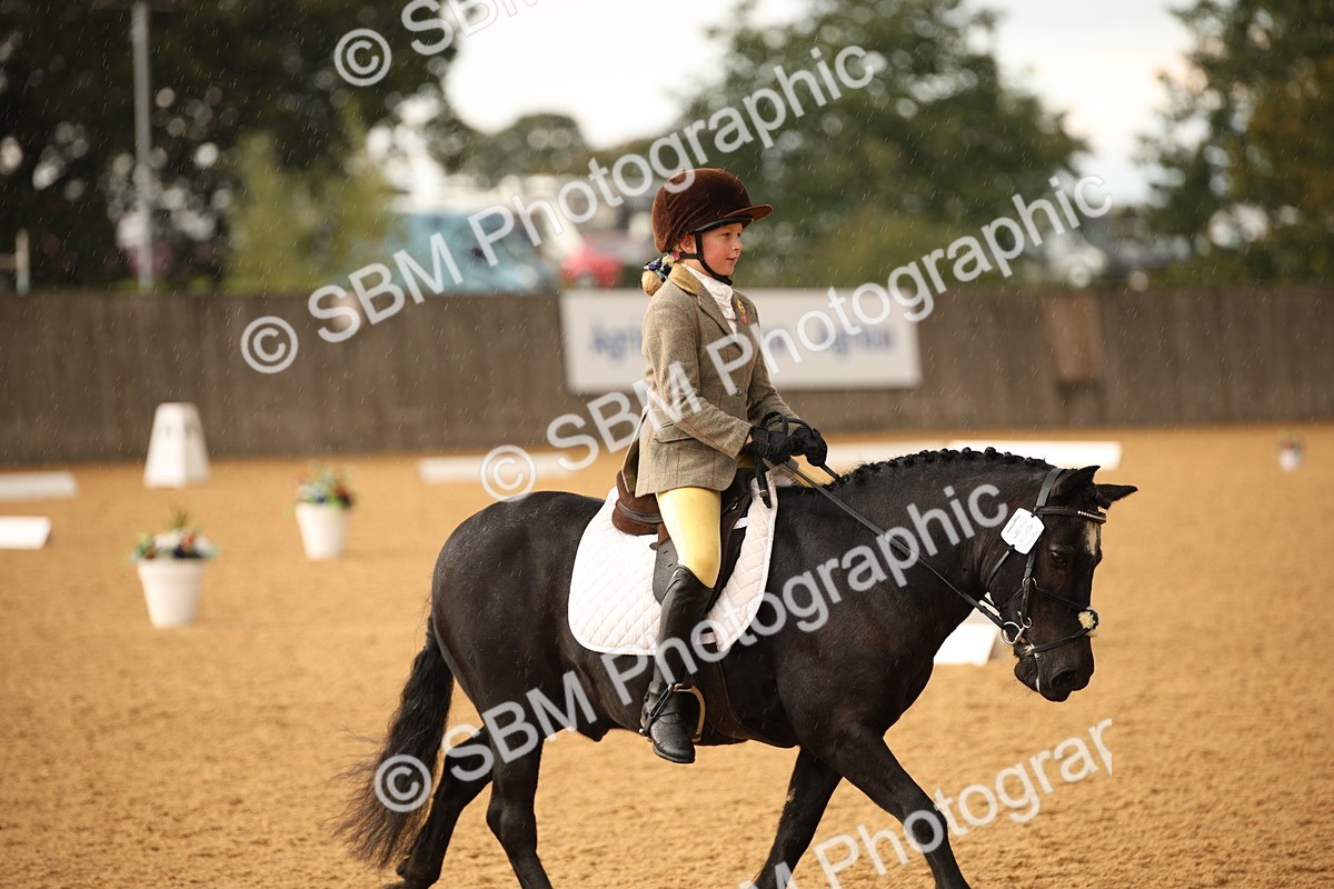 SBM_12375 - D3 Small  Tour Championship Intro A