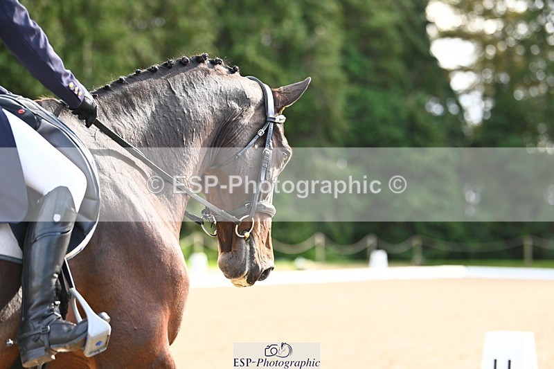 231021-141000-18653 - 251-JE.SUIS.MARVELOUS.WB-Emma.Collins-DR