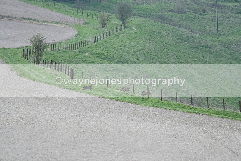 WJ7_7974 - Line 2 A camera