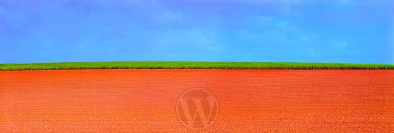 Farmland Wirral England - Elemental