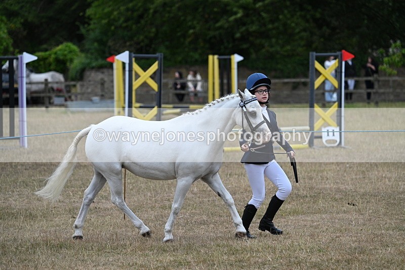 WJ7_8333 - Class 4 Prettiest Mare up to 14.2hh