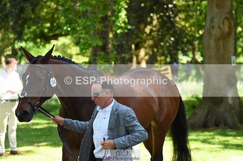 230524-151150-00123 - 354-TREWORDER-Michael_Owen-WEDTrotUp+DR