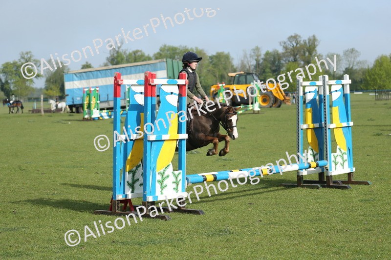 20260426-0031 - Class 13 - Rookie Jumping 50cm