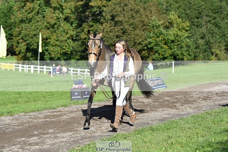 231022-111626-23855 - 558-BATHLEYHILLS.GOLDEN.SPRAY-Cleo.Whitbread-TrotUp+SJ