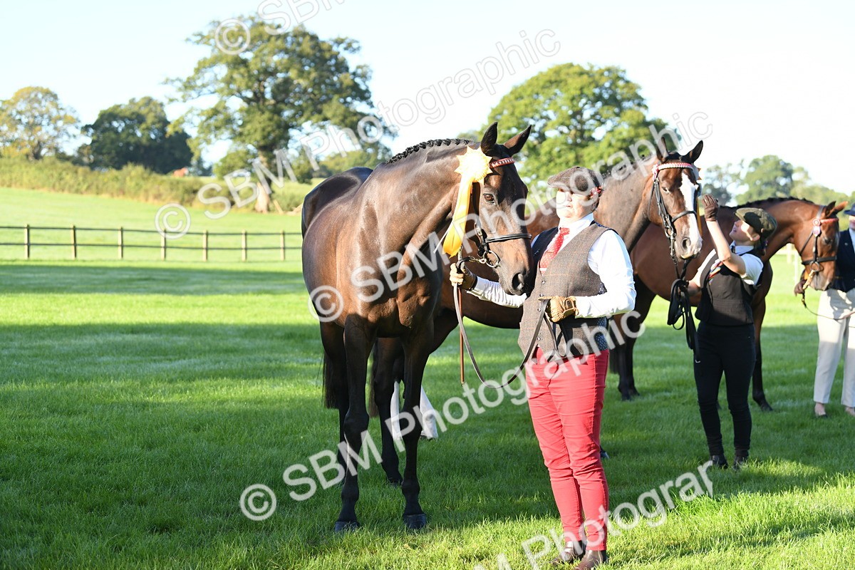 SBM_32844 - S15 - Condition & Turnout In Hand