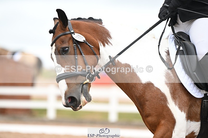 250705-175534-03201 - N3 Section BDNOV3 15.55 to 17.19