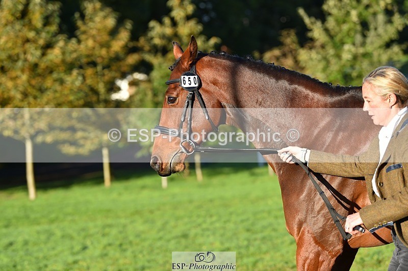 231022-091900-21696 - 650-NAOMIE.VAN.DE.BROUWERSHOEVE-Lara.Salter-TrotUp+SJ