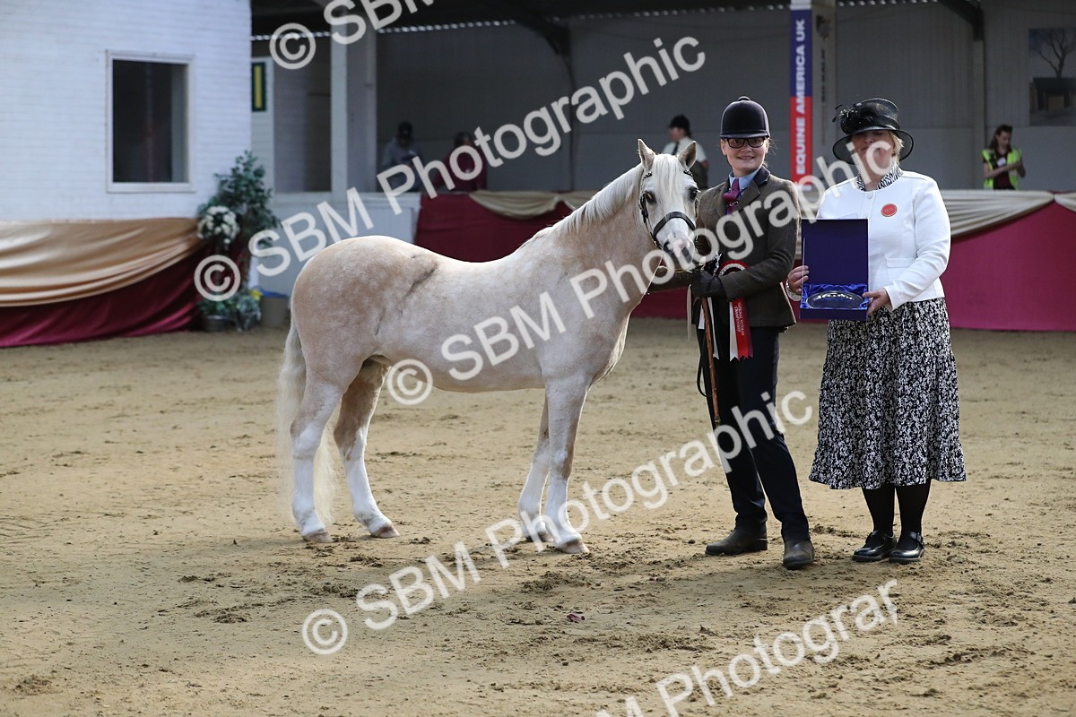 SBM_00349 - Class 1a - Area IH Diamond