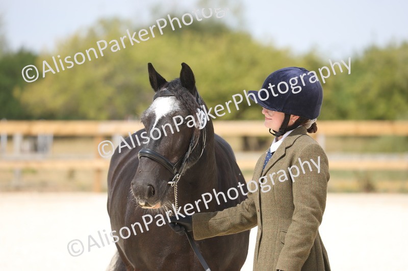 20260802-1506 - Class 16 - Best Horse or Pony