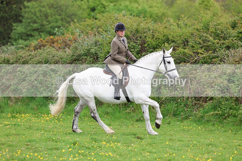 3E7A1141 - Class 7: Ridden Hunter Type