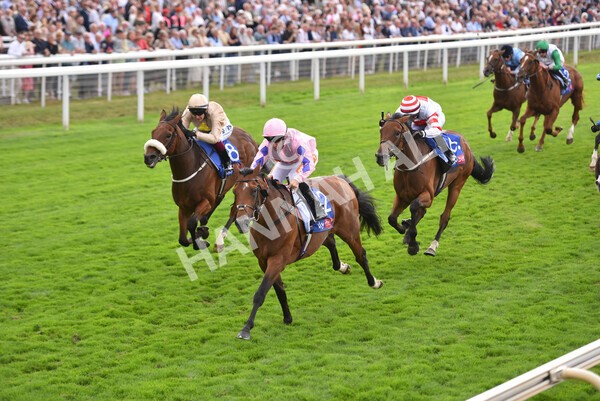 yr19082022r1-33 - Race 1 1.50pm Sky Bet Stakes