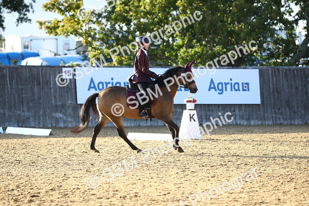 SBM_54503 - D25 - Junior Championship No1 & Elem 2