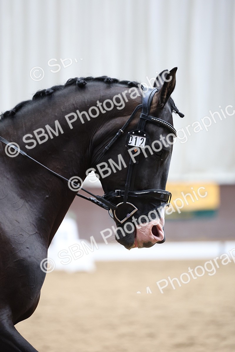 5K7A0289 - Novice 2