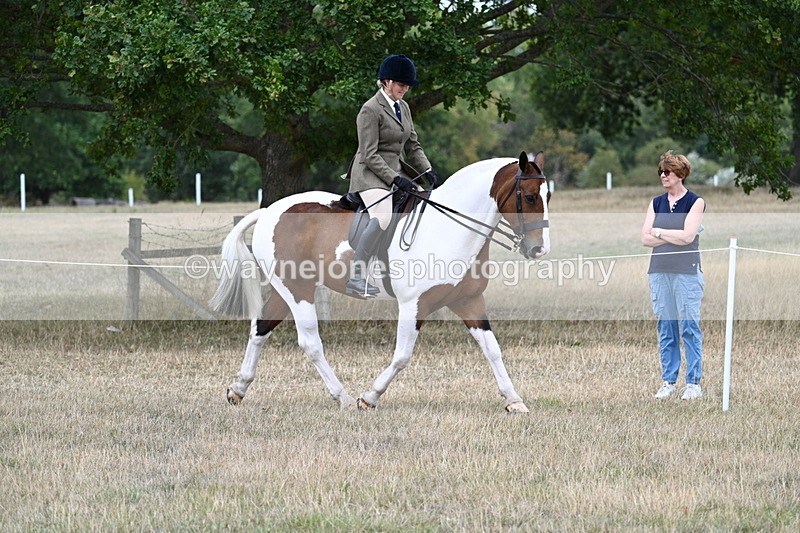 WJ7_4833 - Class 12 Ridden Cob
