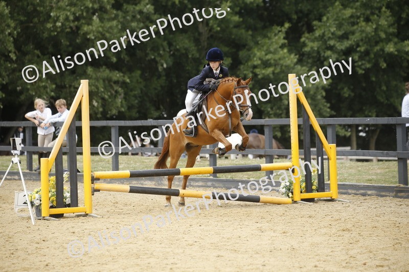 20250622-5939 - 60cm