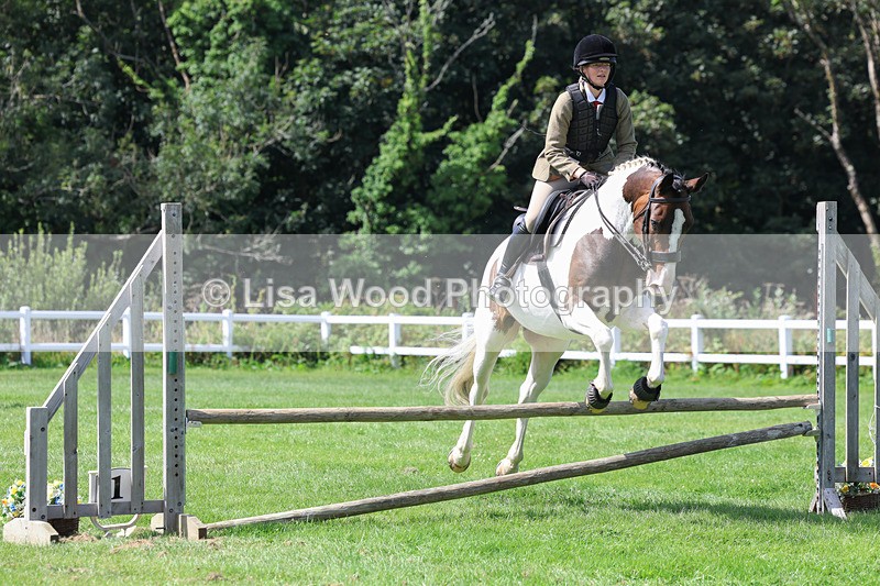 3E7A8595 - Class 5: Working Show Horse