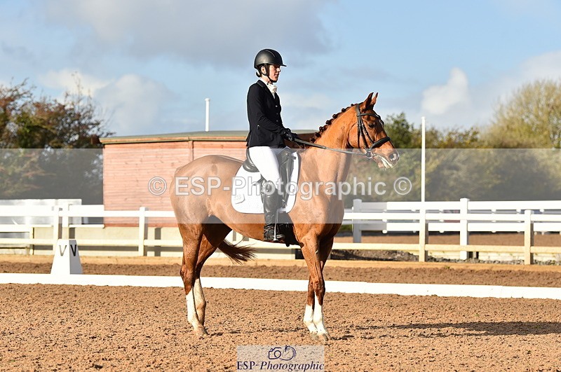 231104A-134850-01921 - Cls 10 Medium 61