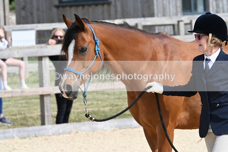 WJ7_8267 - Time 16:10 to 16:25