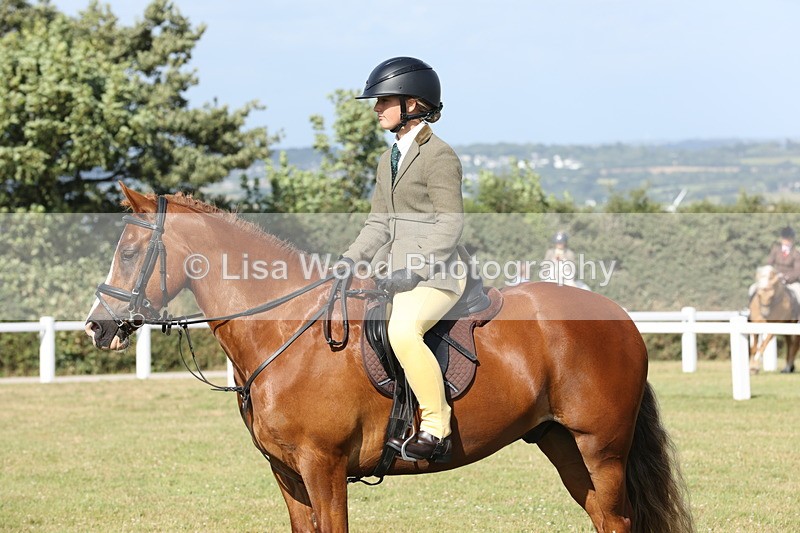 JPP_2976 - Class 20: Working Hunter 70cm