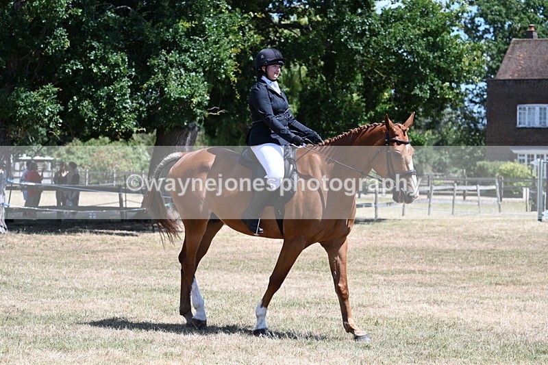 WJ7_2838 - Class 7 Riding Club Show Horse