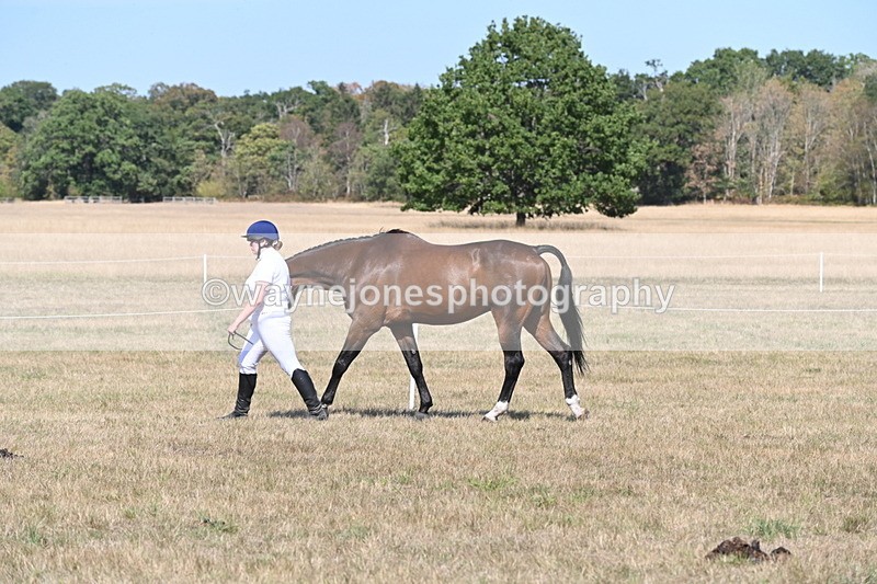 WJ6_9431 - Class 40 Cheekiest Pony/Horse