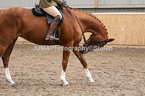SIAL2221 - Sunday 14th Ridden