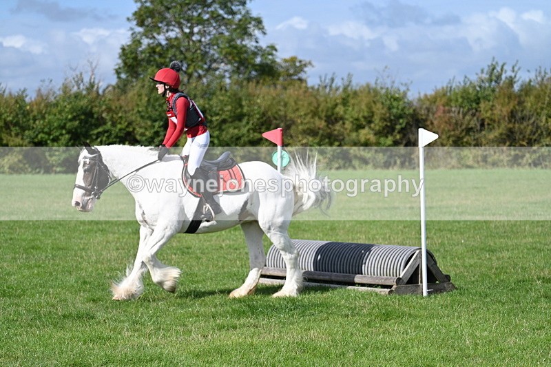 WJ7_8917 - Time 11:10 to 11:53