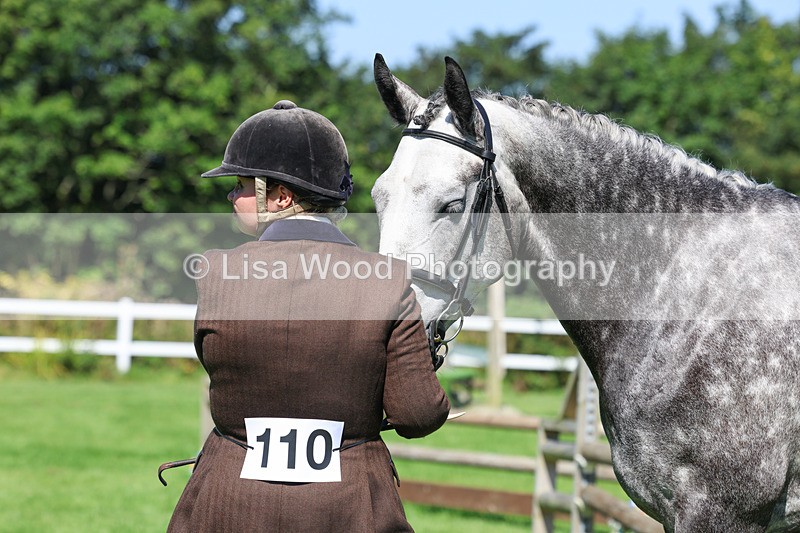 3E7A8461 - Class 4: Novice working Hunter