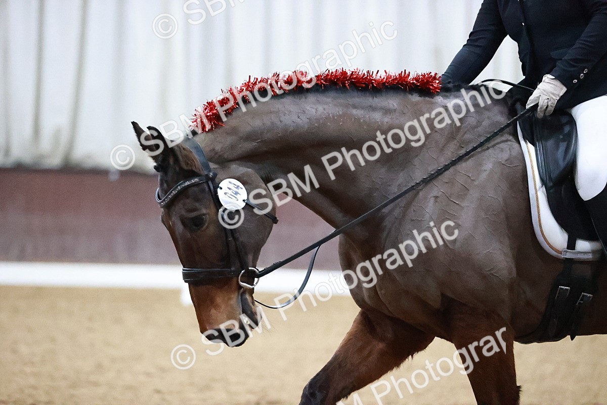 SBM_001722 - Class 9 - Novice 4