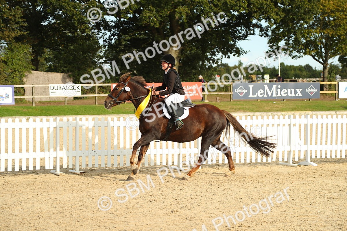 SBM_51771 - J7 - Junior Pony 60cm Championship