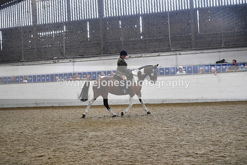 WJ5_6044 - Class 9 Ridden Veteran