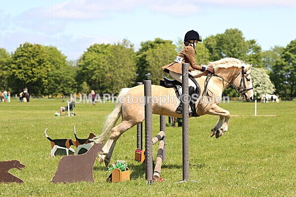 IMG_3659 - Working Hunter