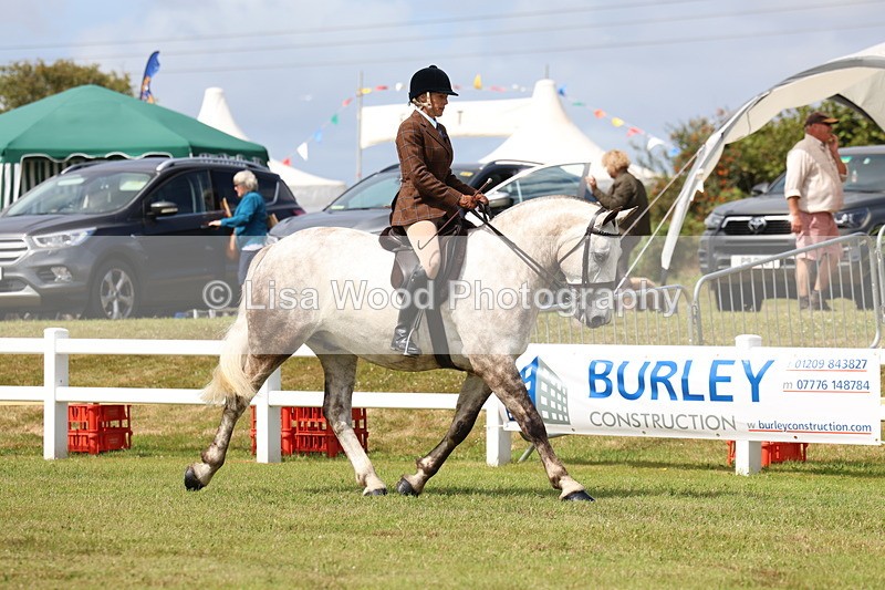 3E7A0164 - Class 6: Rising Star Maxi Cobs