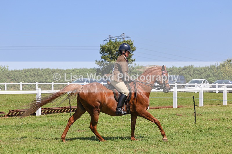 IMG_2220 - Class 37: Pure, Anglo & Part Bred Ridden Arab