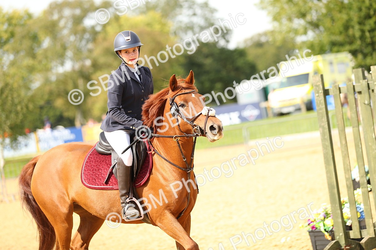 SBM_67107 - J17 - Junior Pony 80cm Championship