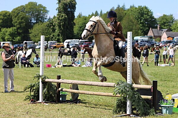 IMG_3668 - Working Hunter