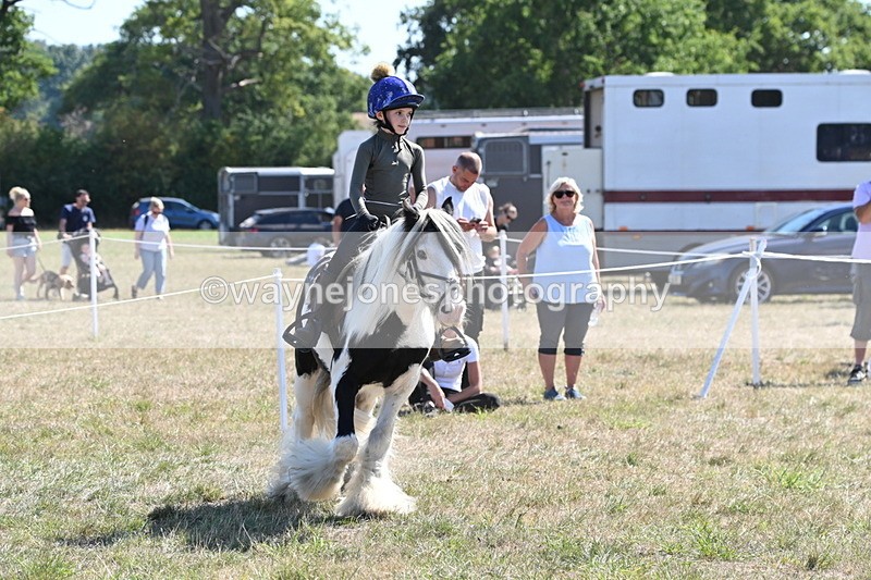 WJ6_8943 - Class 38 Ridden Riding Horse/Pony