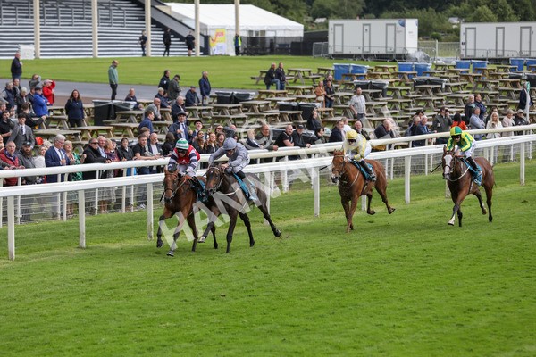 140624-Race 4-Havana Gila-5625 - Race 4 3.35pm Seat Unique Ganton Stakes