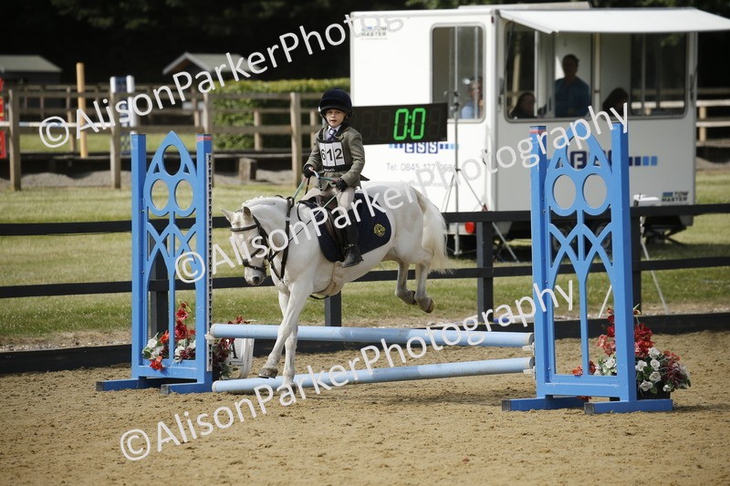 20250622-3743 - 50cm