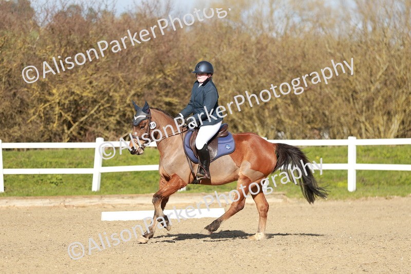 20260314-5325 - DR4 - Prelim 2