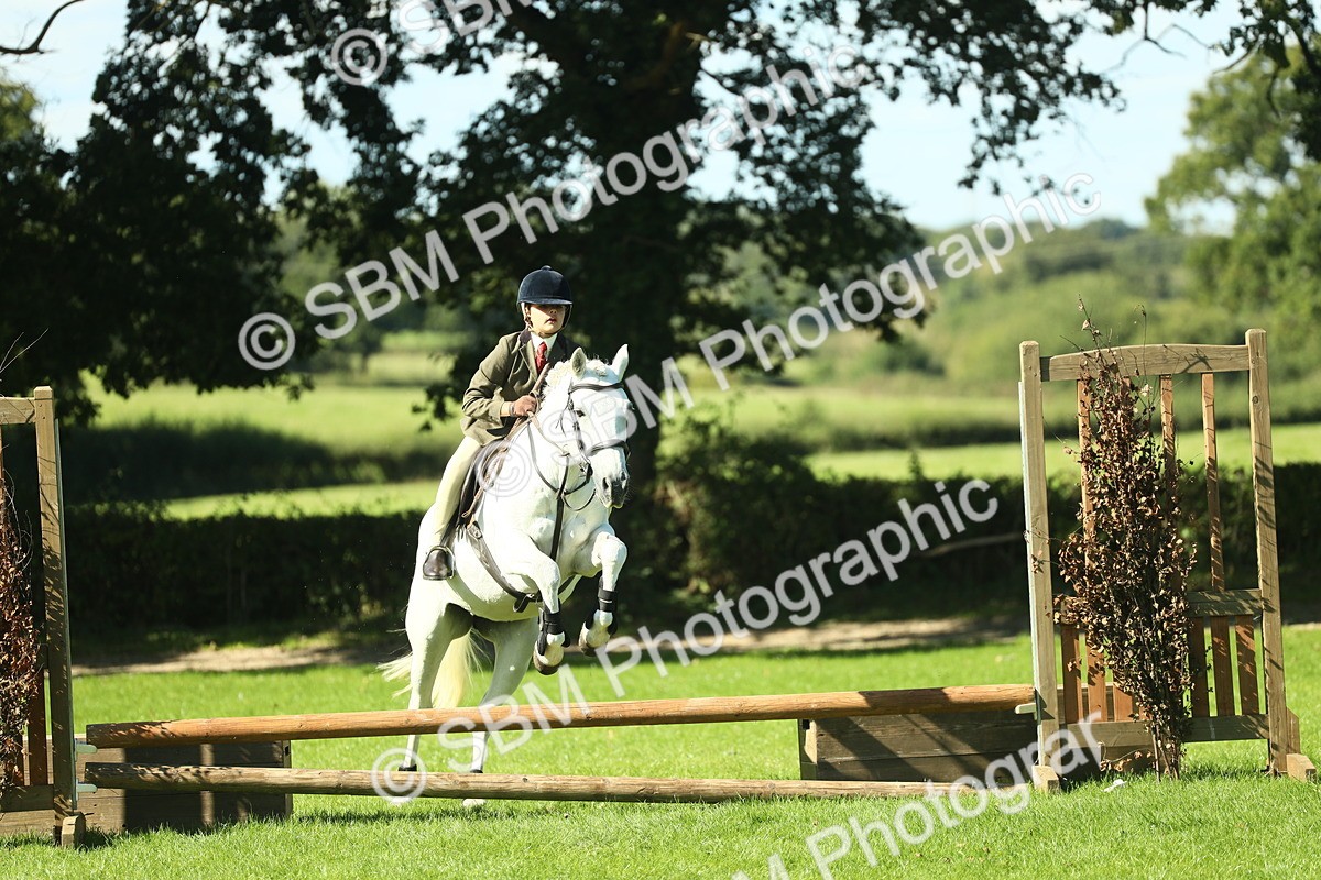 SBM_39128 - S29 - Novice & Newcomers Working Hunter Pony