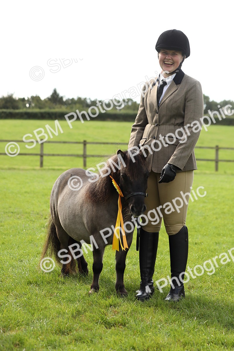 SBM_62855 - S46 - Mountain & Moorland In Hand Small Breeds