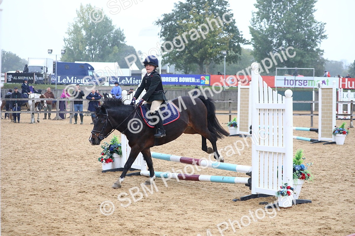 SBM_71799 - J4 - Mini Tour Junior Pony 45cm Championship