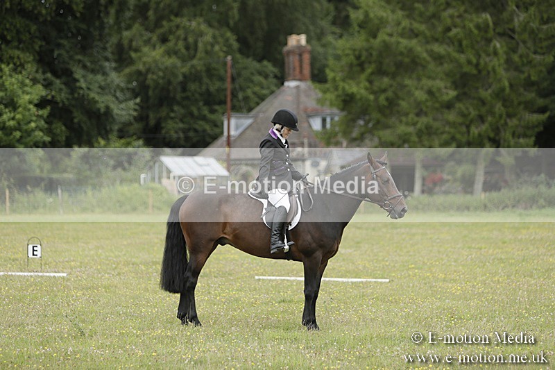 BVR160717-662 - Class 1 & 23a Dressage 16/07/17