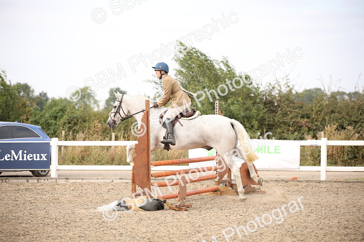 SBM_17346 - Class 410b - Working Veteran 90cm (20+)