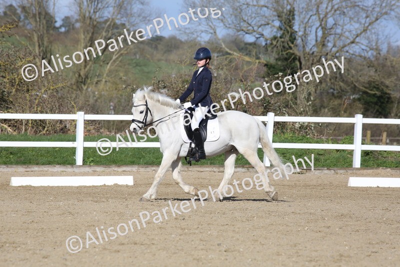 20260314-5275 - DR6 - Novice 2