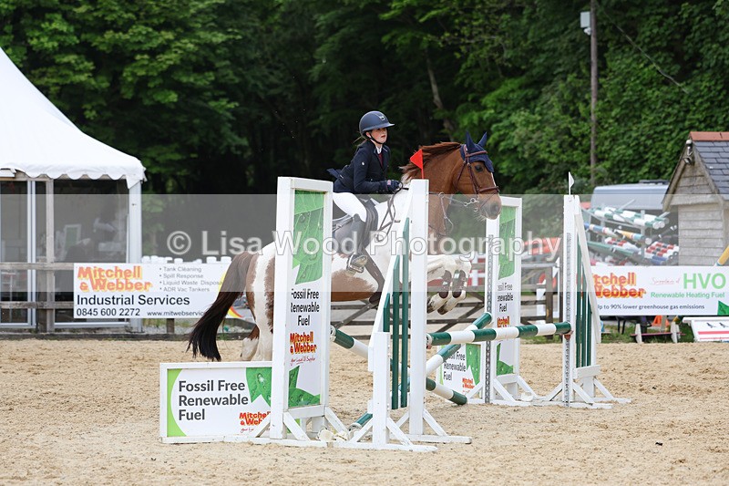 3E7A0110 - Class 13: Pony British Novice/80cm open