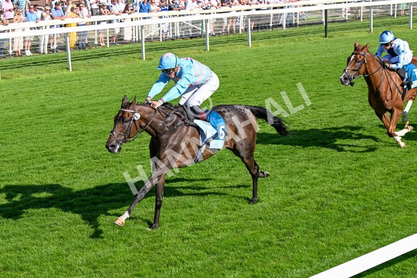 110725-Race 7-Secret Beach-0593 - Race 7 5.40pm William Hill Bet In Running Apprentice Handicap